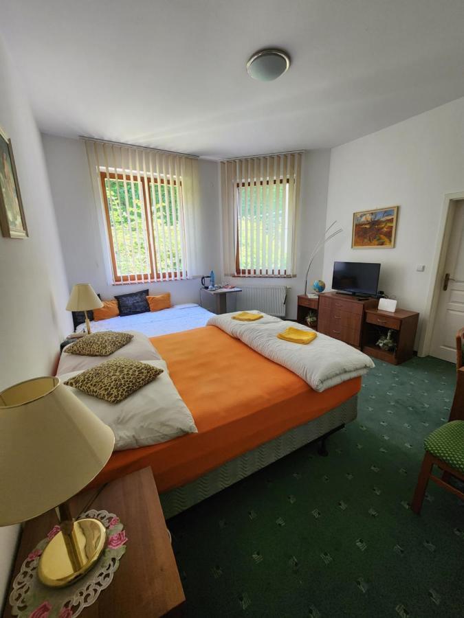 Appartement Kristoff Plaza Trencianske Teplice à Trenčín Extérieur photo